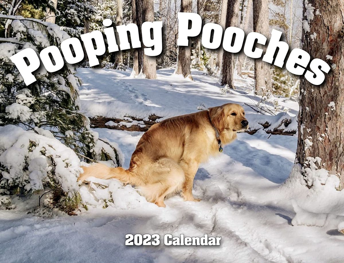 Pooping Pooches Calendar Geeky Gifting