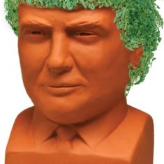 Donald Trump Chia Pet