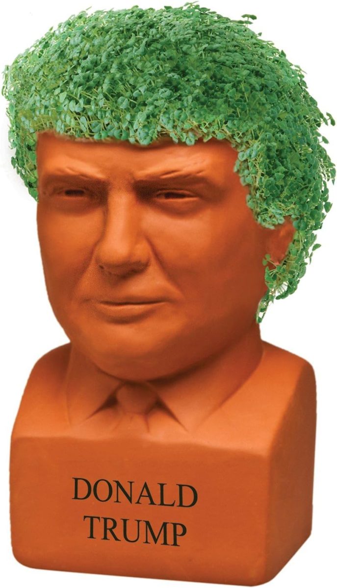 Donald Trump Chia Pet