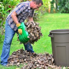 Large Leaf Scoops