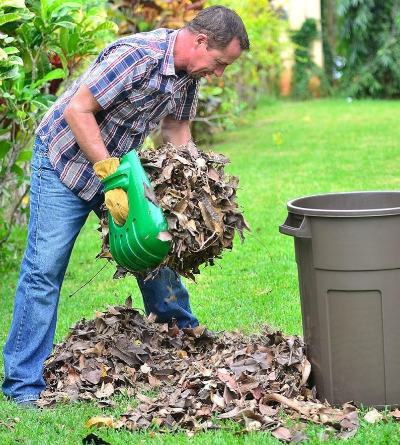 Large Leaf Scoops