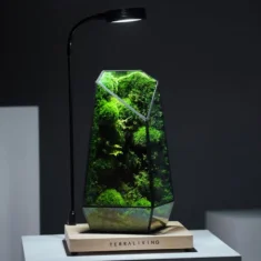 Preserved Moss Terrarium