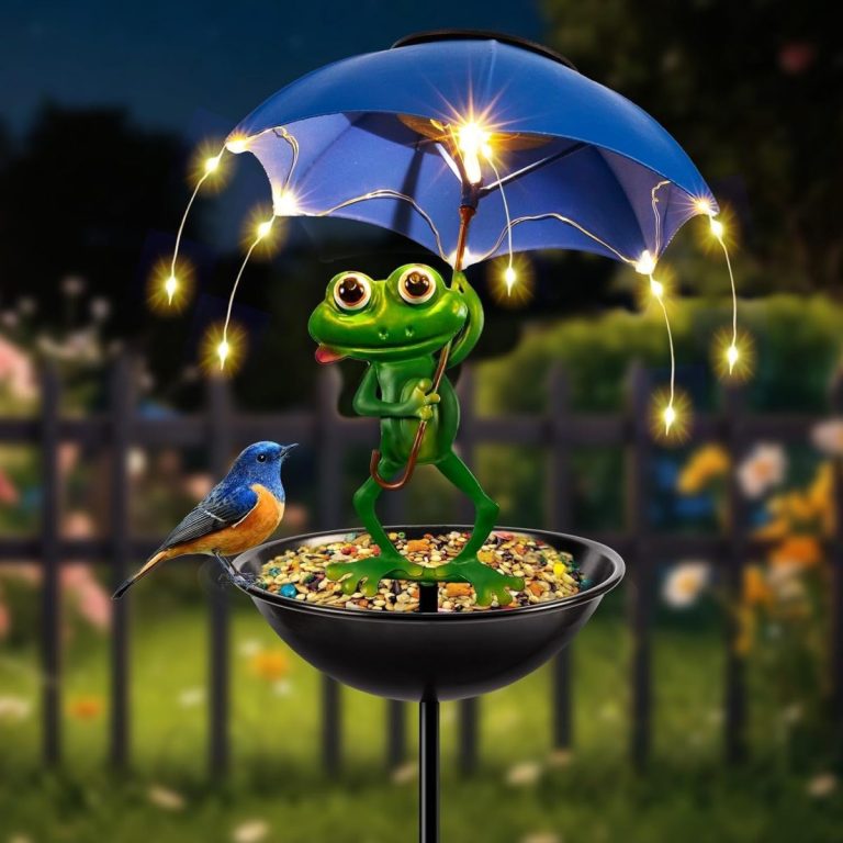 Solar Frog Bird Feeder